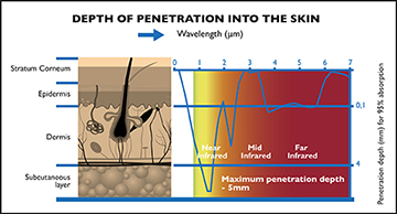 Depth of penetration into skin graph