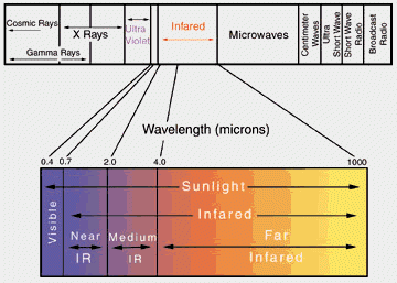 Different forms of light and their wavelengths