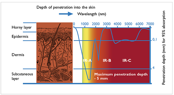infrared-penetration2 Depth of light penetration into skin
