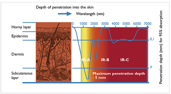 Depth of light penetration into skin