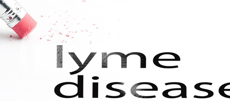 INFRARED SAUNAS AS PART OF YOUR ARSENAL AGAINST LYME DISEASE!