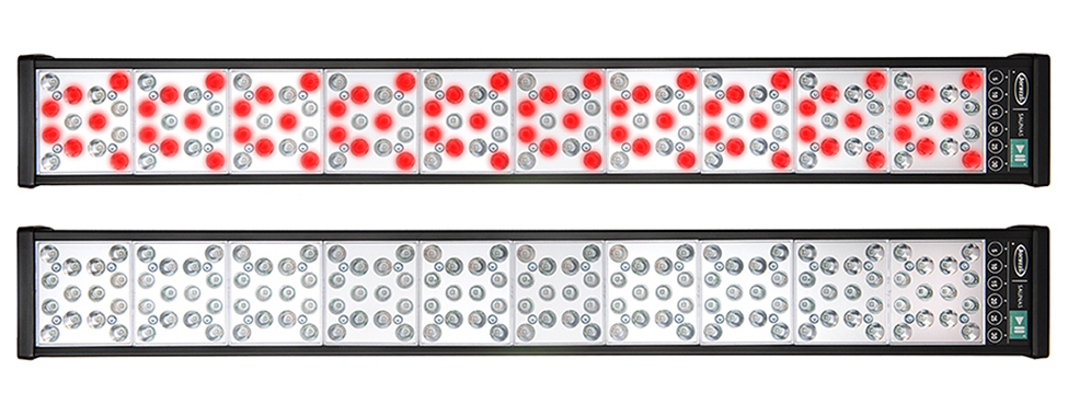 Clearlight-Red-Light-Therapy-Combines-Red-Light-and-Near-Infrared Clearlight-Red-Light-Therapy-Combines-Red-Light-and-Near-Infrared