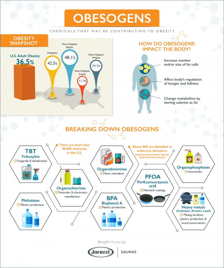 obesogens-infographic-jacuzzi-saunas