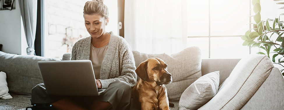 Woman Working from Home on Couch with Dog