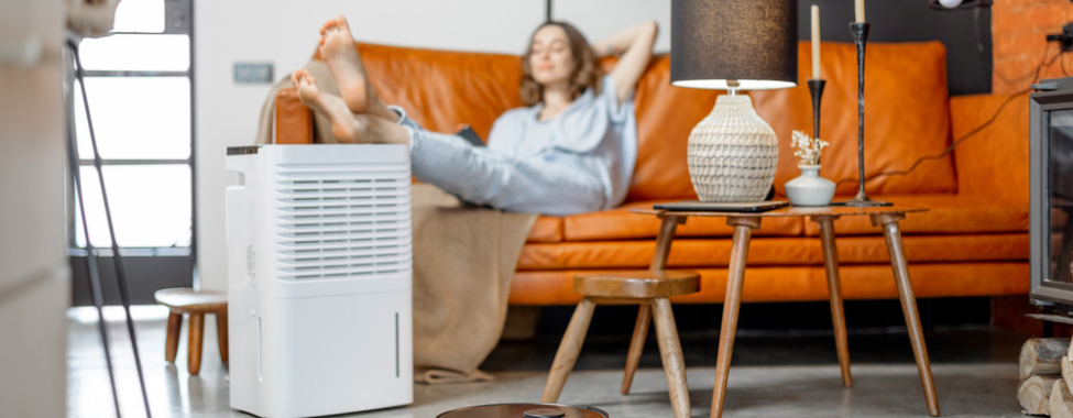 Woman Using Air Purifier to Reduce Pollutants at Home