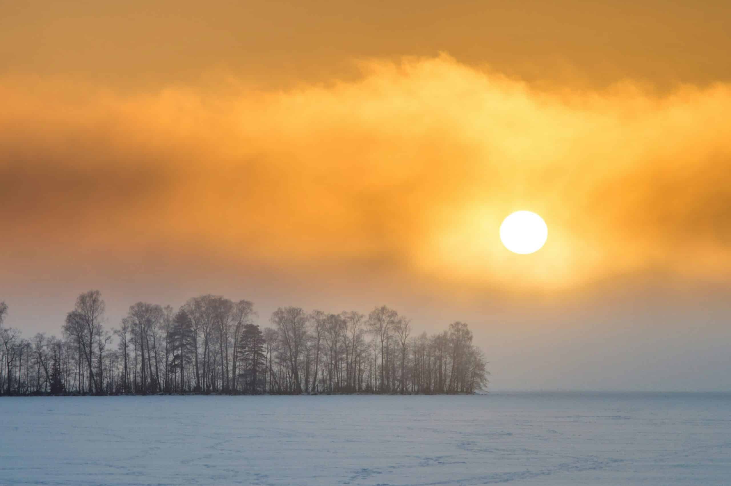 winter sunshine