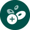 CL-ICONS_cellular-health